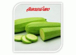 Seminte de dovlecei ISMALIA F1