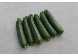 Seminte de dovlecel zucchini MODENA F1