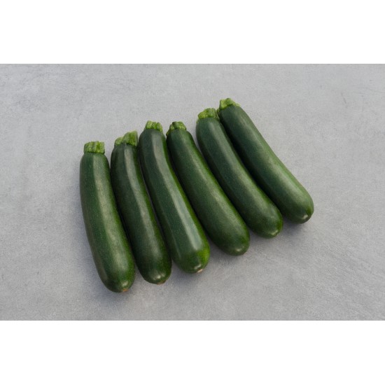 Seminte de dovlecel zucchini MODENA F1