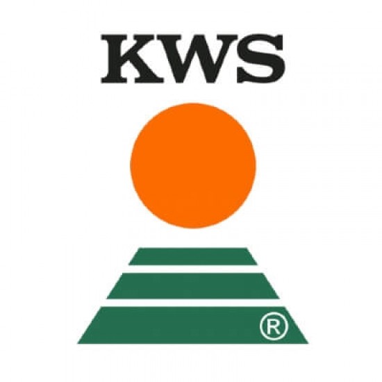 Seminte de floarea soarelui KWS SUVEX SU Seminte de floarea soarelui KWS SUVEX SU