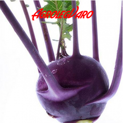 Seminte de gulioare DELICACY PURPLE