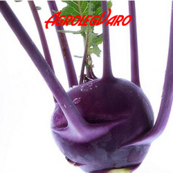 Seminte de gulioare DELICACY PURPLE