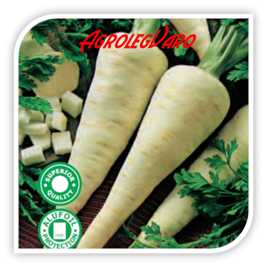 Seminte de patrunjel LANGE OBERLAAER