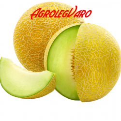 Seminte de pepene galben Galia F1