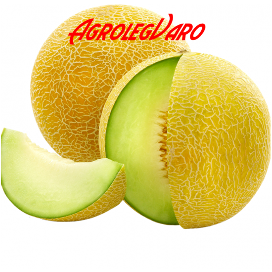 Seminte de pepene galben Galia F1
