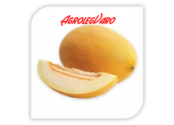 Seminte de pepene galben RAYMOND F1