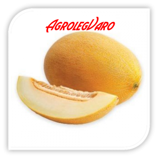 Seminte de pepene galben RAYMOND F1