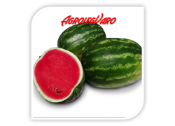 Seminte de pepene verde GRIZZLY F1