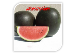 Seminte de pepene verde NOSZTALGIA F1