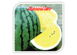 Seminte de pepene verde PEACE F1