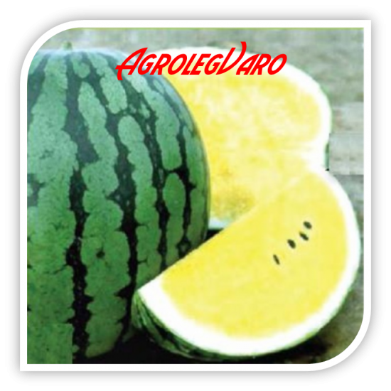 Seminte de pepene verde PEACE F1
