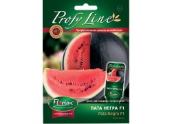 Seminte de pepene verde Pata Negra F1 Florian