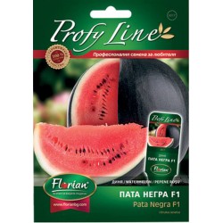 Seminte de pepene verde Pata Negra F1 Florian