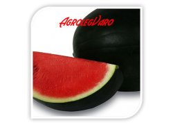 Seminte de pepene verde RED COMET F1