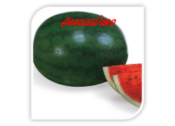 Seminte de pepene verde SUGAR DELICATA F1