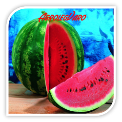 Seminte de pepene verde SUPER CRIMSON SWEET OP