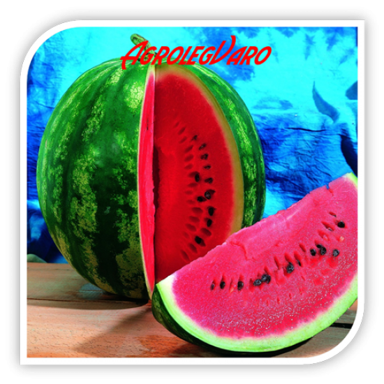 Seminte de pepene verde SUPER CRIMSON SWEET OP
