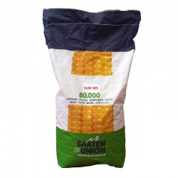 Seminte de porumb SAATEN SUM 305