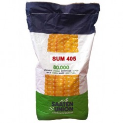 Seminte de porumb SAATEN SUM 405