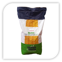 Seminte de porumb SURROUND