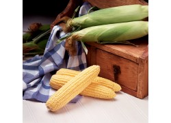 Seminte de porumb zaharat OVERLAND F1