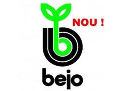 Seminte de ridichi Rochas F1