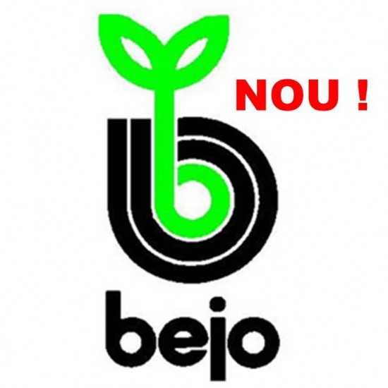 Seminte de ridichi Rochas F1