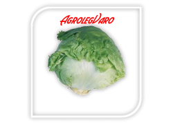 Seminte de salata AVIRAM