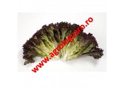 Seminte de salata Carmesi drajate