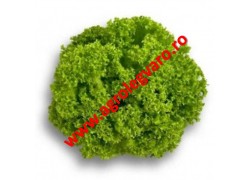 Seminte de salata Lozano drajate