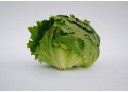 Seminte de salata iceberg LECTRICE