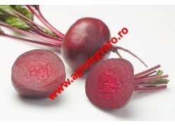 Seminte de sfecla rosie Zeppo F1