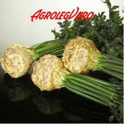 Seminte de telina Dolvi