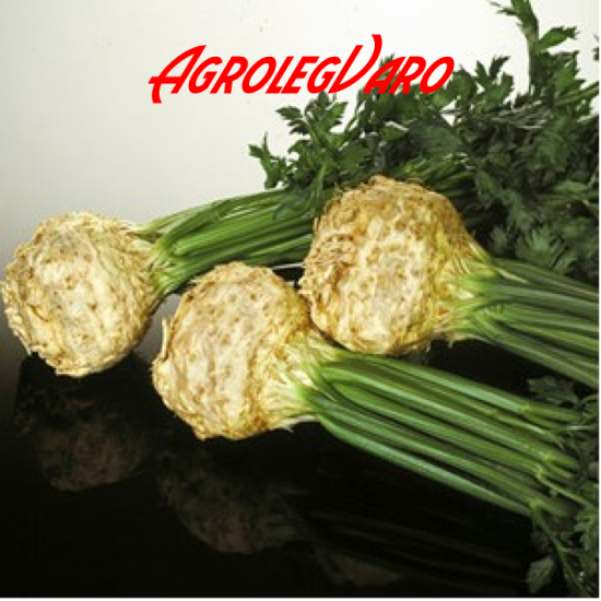 Seminte de telina Dolvi