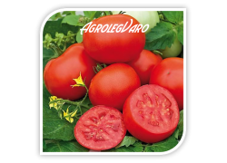 Seminte de tomate AMAPOLA F1