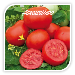 Seminte de tomate AMAPOLA F1