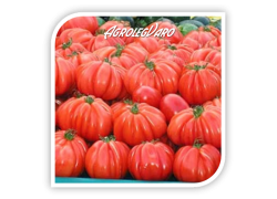Seminte de tomate ARAWAK F1