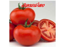 Seminte de tomate AXIOM F1