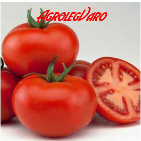Seminte de tomate AXIOM F1