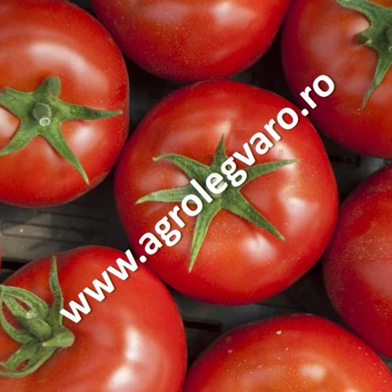 Seminte de tomate Alamina F1