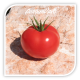 Seminte de tomate BALONA F1