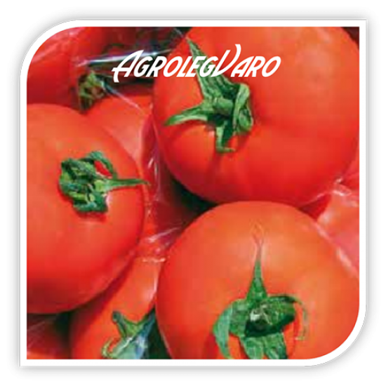 Seminte de tomate BELLADONA F1