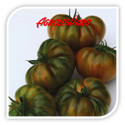 Seminte de tomate BOCAMEGRA F1
