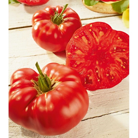 Seminte de tomate BUFFALOSTEAK F1