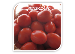 Seminte de tomate CHELSE F1