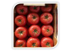 Seminte de tomate CLAROSA F1
