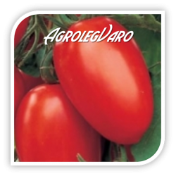 Seminte de tomate CUZCO F1
