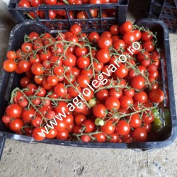 Seminte de tomate Cheramy F1