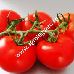 Seminte de tomate Endeavour F1