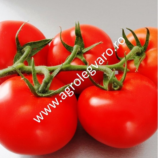 Seminte de tomate Endeavour F1